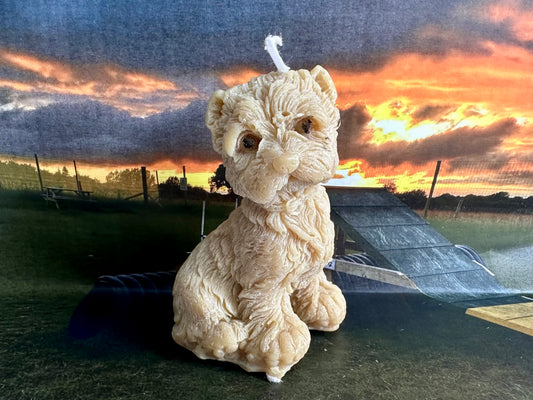William the Westie