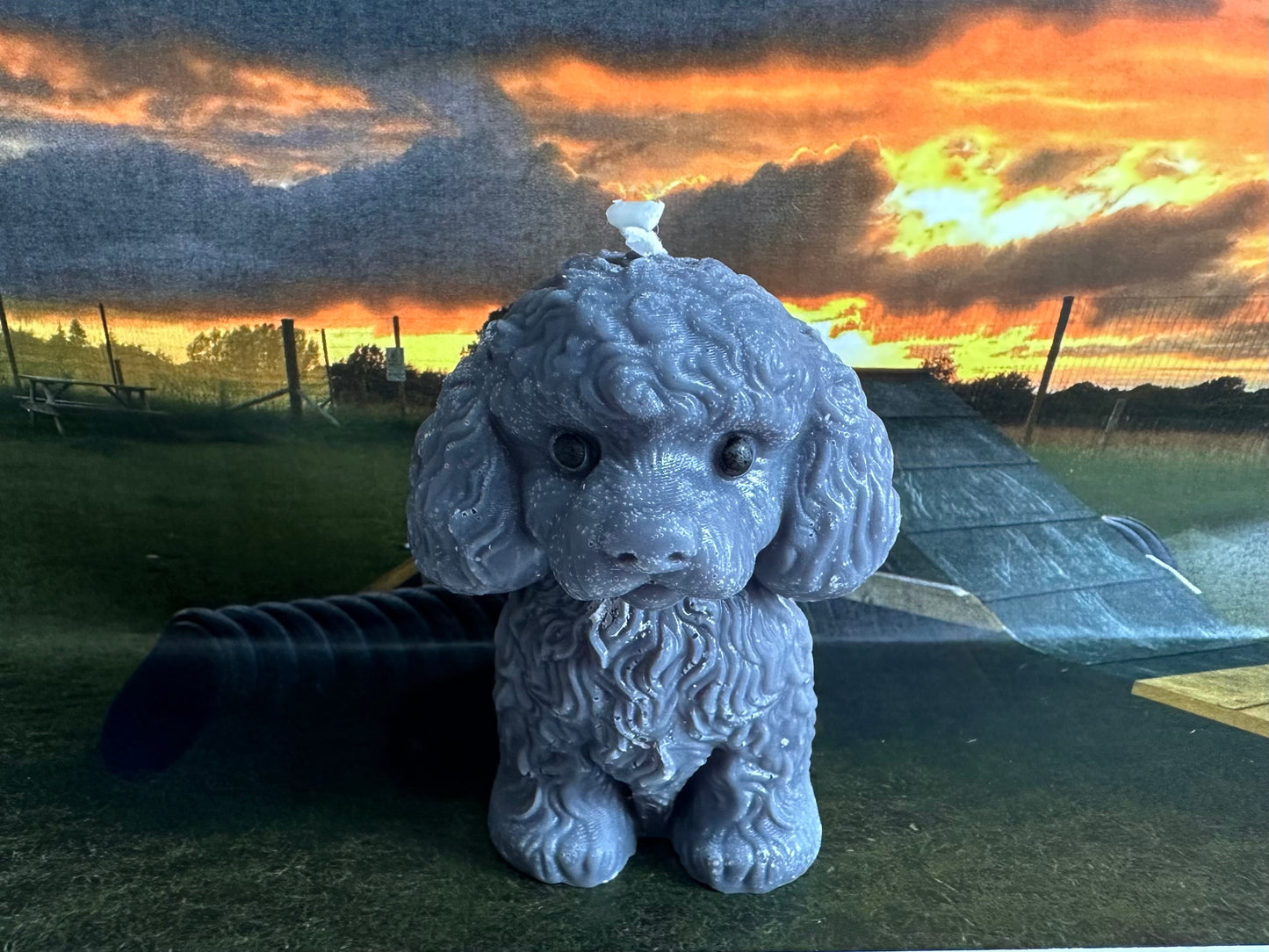 Mable the Dog