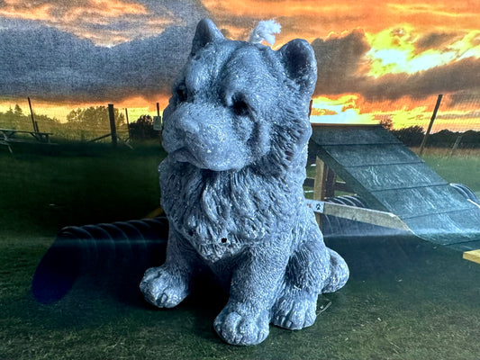 Yogi the Chow Chow