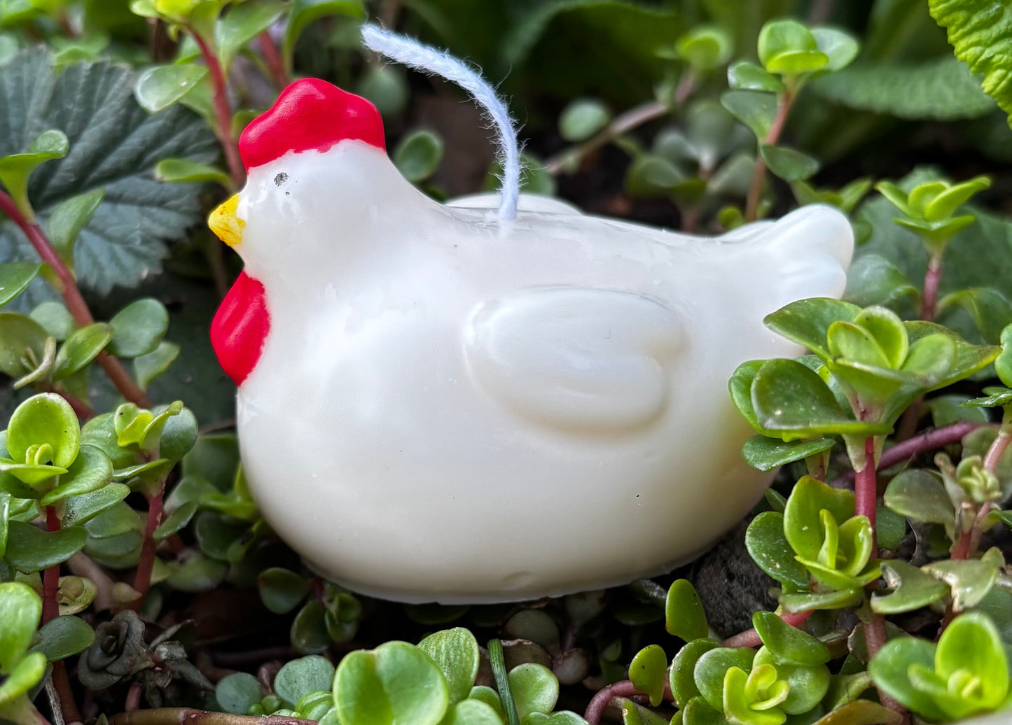 Chicken Candle