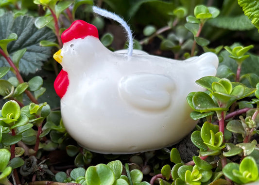 Chicken Candle