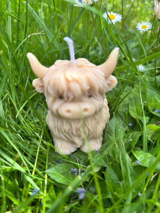 Highland Cow Candle
